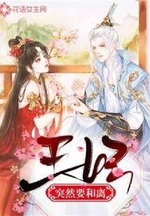 The Princess Suddenly Wants to Divorce