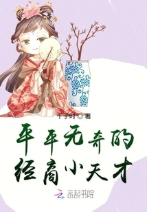 An Ordinary Little Business Genius