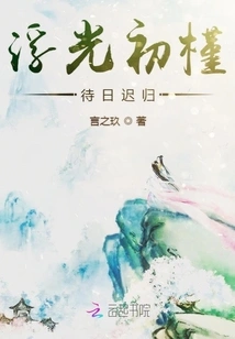 The First Hibiscus in the Floating Light is Waiting for the Sun to Return Late