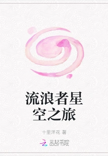 Wanderer Starry Sky Journey