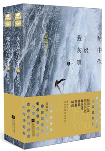 I'm Waiting for You in the Ashes: Collector's Edition (two Volumes)