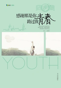 Thank You for Being You, Passing by My Youth