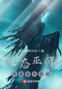 Eco Wizard: I Have a Chip at the Beginning