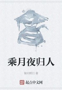 Returning on a Moonlit Night