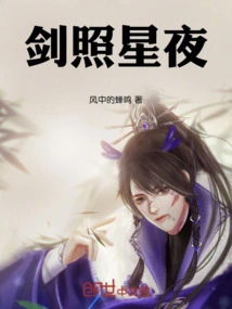 The Sword Shines on the Starry Night