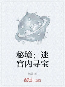 Secret Realm: Treasure Hunting in the Maze