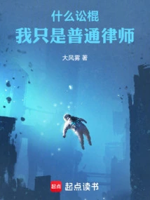 What a Litigator, I'm Just an Ordinary Lawyer