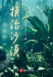 Promise Transformation to Treat Deserts