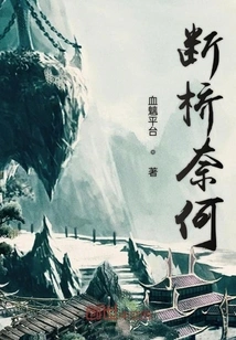 What Can I Do If the Bridge is Broken?