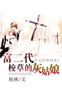 Cinderella, the Rich Second-generation School Girl