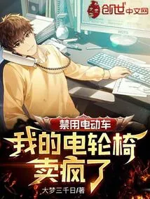 Electric Vehicles Are Banned, My Electric Wheelchair is Selling Like Crazy