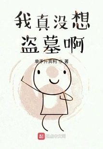 I Really Didn't Want to Rob a Tomb