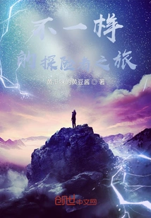 A Different Adventurer's Journey