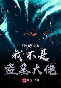 I'm Not a Tomb Robber