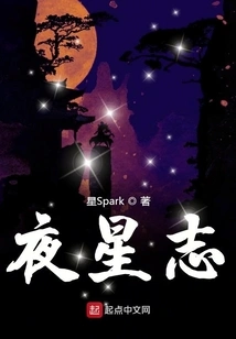 Night Star Chronicles