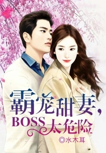 Sweet Wife, Sweet Boss, Too Dangerous