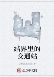 Traffic Stop in the Boundary