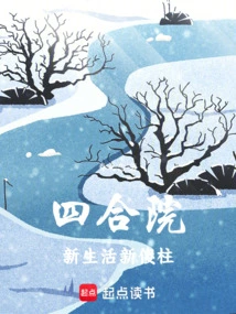 Siheyuan: New Life and New Silly Pillars