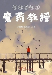 Harry Potter: the Potions Professor