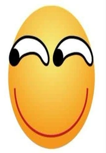 Shocking Love: the Story of the Ceo and Gray Mushroom Liang