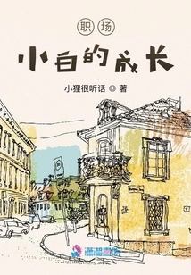 The Growth of a Novice in the Workplace