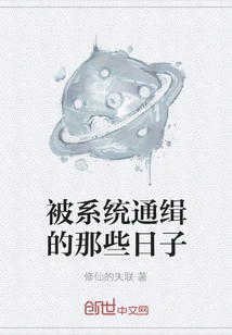 Those Days When I Was Wanted by the System