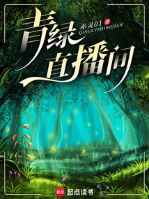 Bullet Barrage Chasing the Murderer