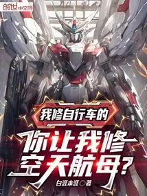 I Repair Bicycles, You Ask Me to Repair Aerospace Aircraft Carriers