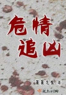 Chase the Murderer in a Dangerous Situation