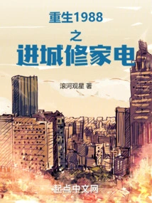 Rebirth 1988: Entering the City to Repair Home Appliances