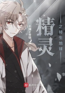 Reincarnation of the Spirit on Earth