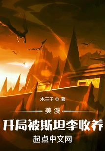 American Comics: Adopted by Stan Lee at the Beginning