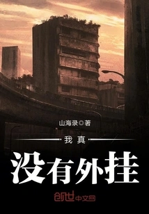 I Really Don't Have Any Plug-ins