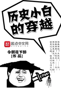 The Time Travel of History Novice