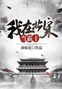 I Was the Overlord in the Northern Song Dynasty