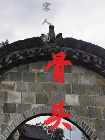 Bones of the Song Dynasty