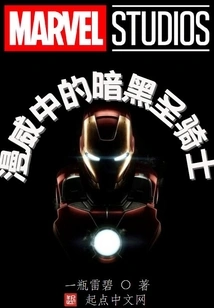 Dark Paladin in Marvel