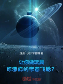 I Asked You to Make a Toy, but You Made a Real Spaceship?