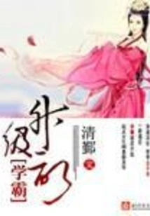 Upgrade of the Top Student