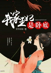 My Princess is an Undercover Agent