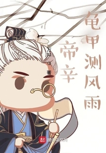 Emperor Xin's Tortoise Shell Measures Wind and Rain