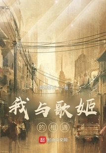 My Encounter with the Singer