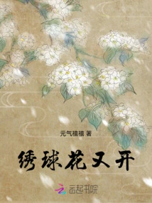 Hydrangeas Are Blooming Again