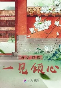 Mr. Su's Love at First Sight