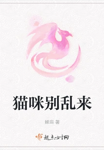 Cat, Don't Mess Around