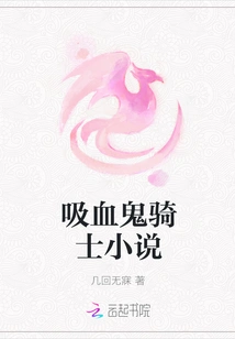 Vampire Knight Novel