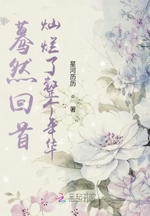 Looking Back Suddenly, the Whole Life Was Brilliant