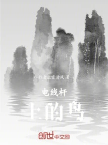 Bird on Telephone Pole