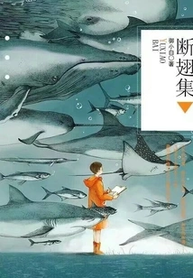 Broken Wings Collection