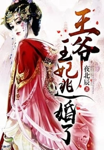 My Lord, the Princess Has Escaped from the Marriage